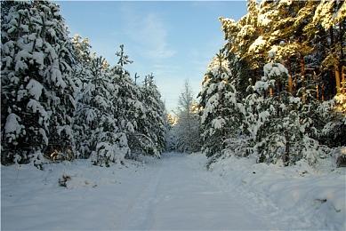 《漫威暗夜之子》媒体评分解禁 M站均分86